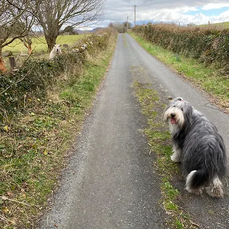 Coastal Living Wild Atlantic Way - Near Strandhill Bed & Breakfast Sligo
