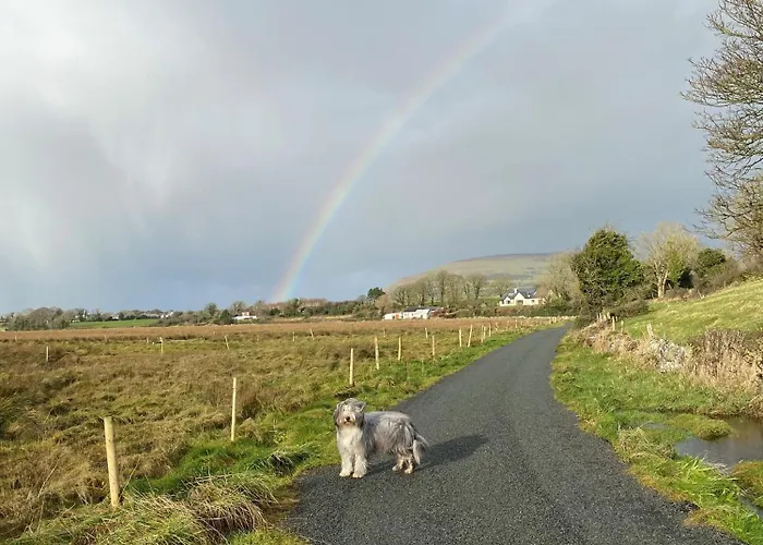 Coastal Living Wild Atlantic Way - Near Strandhill B&B