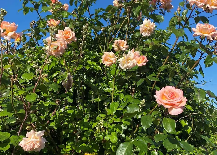 Coastal Living Wild Atlantic Way - Near Strandhill *