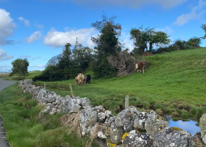 B&B Coastal Living Wild Atlantic Way - Near Strandhill *